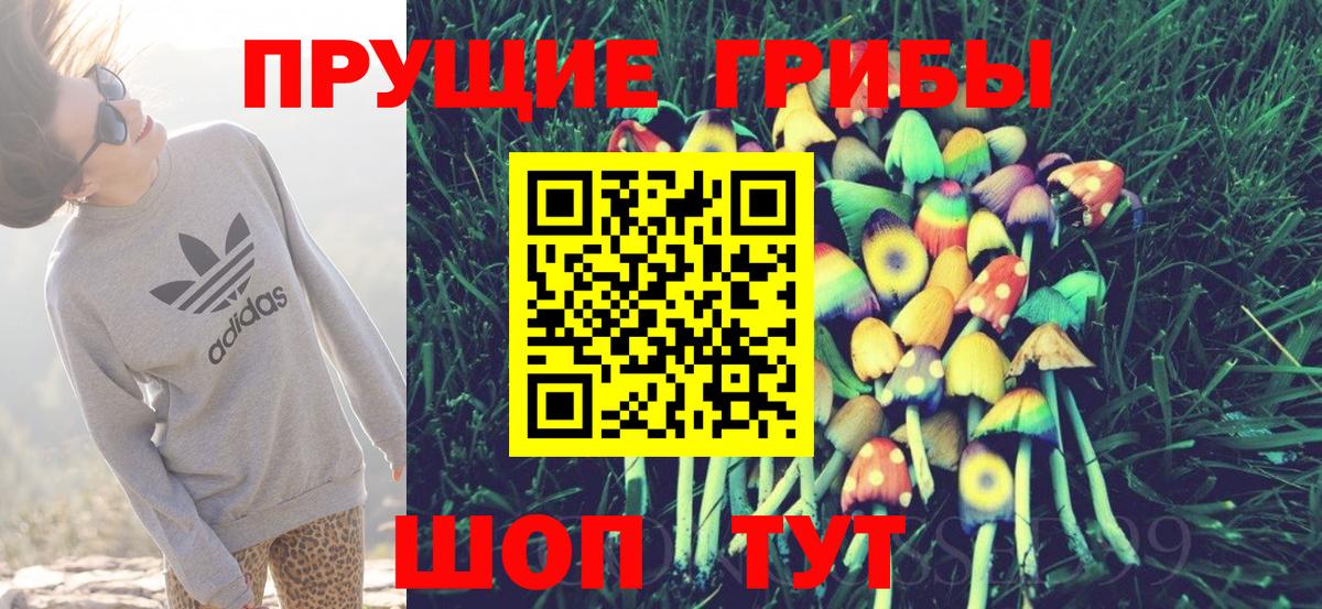 Псилоцибиновые грибы GOLDEN TEACHER Ижевск